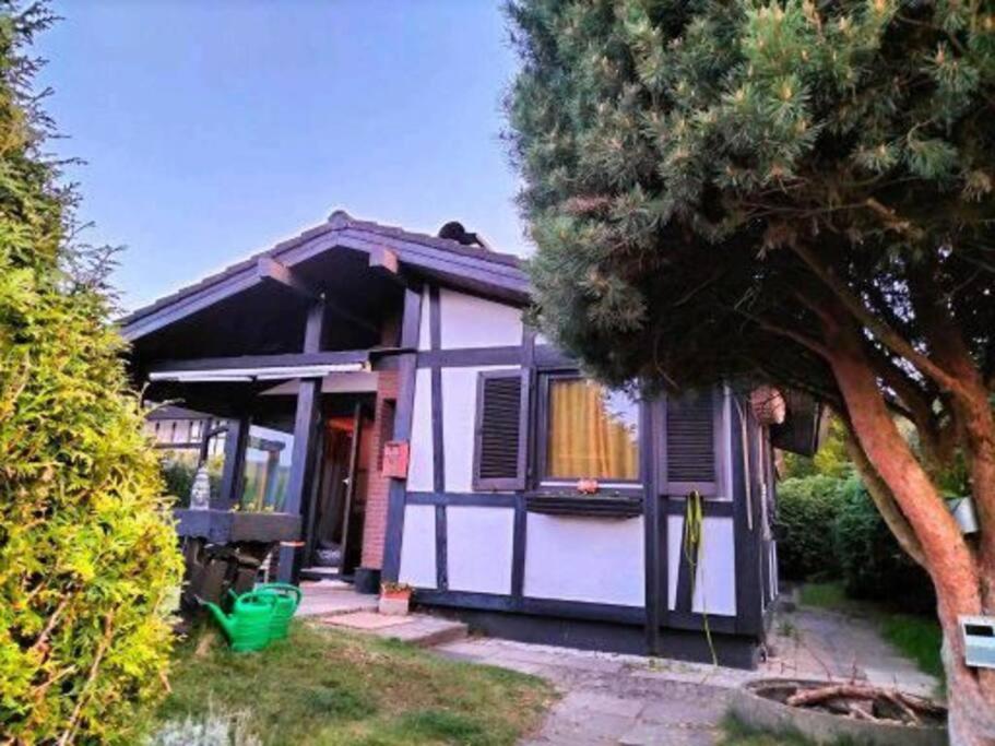 Ferienhaus Am Listersee ไมเนอร์ซาเกิน ภายนอก รูปภาพ